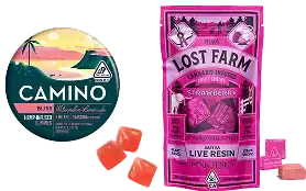 Camino / Lost Farms